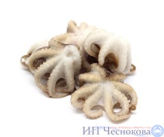 Осьминоги н/р с/м 40-60