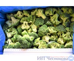 Брокколи