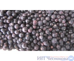Черная смородина