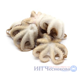 Осьминоги н/р с/м 40-60