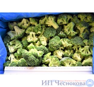 Брокколи