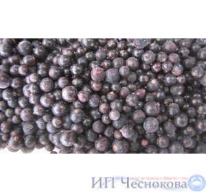 Черная смородина