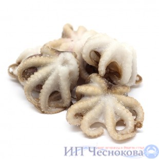 Осьминоги н/р с/м 40-60